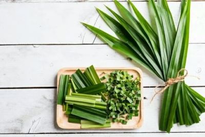 Daun Pandan untuk Aromaterapi